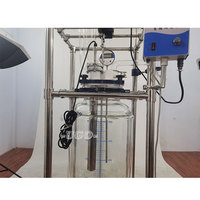Réacteur à Cavitation Ultrasonique 20L Haute Intensité pour Processus Chimiques, Cuve de Réaction en Verre Borosilicate avec Moteur