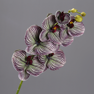 Orquídeas Artificiales <span class=keywords><strong>de</strong></span> Látex con Tacto Real, Color Otoñal, Orquídeas Mariposa, <span class=keywords><strong>Flores</strong></span> Artificiales para Decoración <span class=keywords><strong>de</strong></span> Hogar, Fiestas, Bodas y Manualidades - Product Image 5