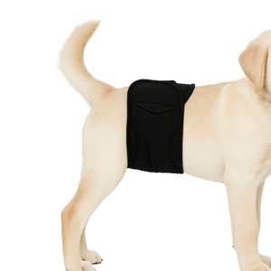 Pañales para perros masculinos Pañal para mascotas con cintura elástica lavable con ajuste seguro Hecho en Turquía Listo para enviar Pañal para mascotas - Product Image 1