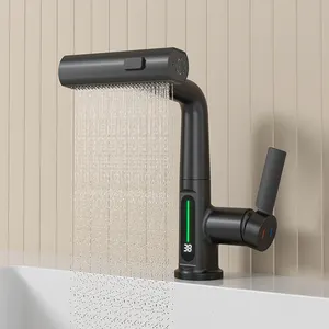 Rubinetto per lavabo rotante a 360 gradi con maniglia singola rubinetto estraibile per lavabo da bagno