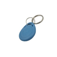 Personnalisé MF1K KF FM08 KF Wafer Proof RAFID Étanche ABS Classique 1k NFC Tag