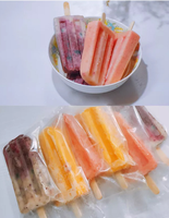 Sacs d'emballage transparents thermoscellables pour sucettes glacées et bâtonnets de glace DIY
