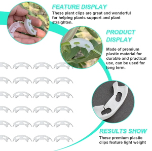 Clips <span class=keywords><strong>de</strong></span> support anti-pliage pour plantes, clips <span class=keywords><strong>de</strong></span> greffage blancs pour tomates, clips pour tomates - Product Image 2