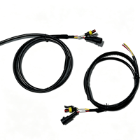 Kabel Harness Otomotif Tahan Air Khusus, Kabel Konektor AMP/Tyco 2 Pin Male-Female, Selubung Kepang untuk Refrigerasi