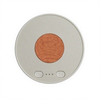 Oreiller-haut-parleur ultra-fin pour le sommeil avec batterie intégrée, connectivité Type-C, charge sans fil, minuterie et bruit blanc