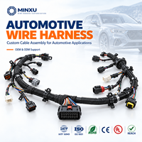 Faisceau de câblage automobile 18-22AWG avec connecteurs mâles et femelles 2-12 broches, personnalisé OEM pour l'électronique automobile