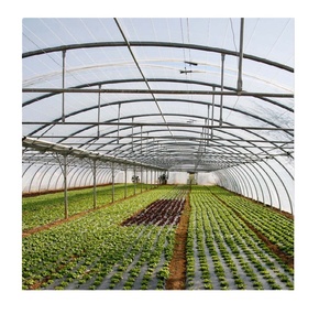 Film de serre agricole en PE tissé résistant aux UV, <span class=keywords><strong>prix</strong></span> compétitif, directement de l'usine - Product Image 6