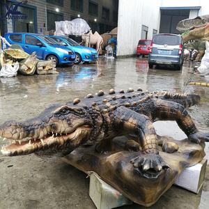 Modèle d'animal animatronique crocodile grandeur nature fabriqué en Chine à Zigong pour <span class=keywords><strong>zoo</strong></span> et parc aquatique - Product Image 5