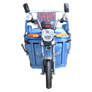 Fábrica al por mayor 3 ruedas personalizado puede llevar mascotas triciclos eléctricos 501-800W triciclo eléctrico motocicleta con Sidecar