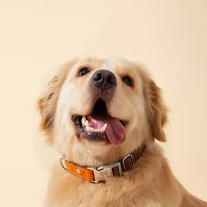 Collare per cani di grandi dimensioni personalizzato a rilascio rapido regolabile in Nylon con stampa di etichette con nome Anti-smarrimento