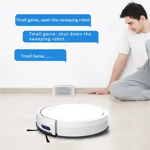 2023 neue hochwertige Haushalts-Smart-Boden reinigungs maschine mit Amazon Alexa Google Assist Zick-Zack-Reinigungs roboter Staubsauger