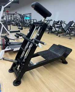 Gym Equipment Free Weight Plate Loaded Seated <b>Row</b> <b>Machine</b> FL31 Rowing <b>Machine</b> Gym Equipment Linear <b>Row</b> <b>Machine</b> Back <b>Row</b> <b>Machine</b> - Product Image 6