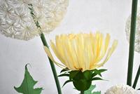 Fleur de pissenlit géante en papier blanc faite à la main N461 pour la décoration murale de mariage et de fête, pour la vitrine, ensemble de fête