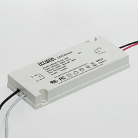 Controlador LED Ultra Delgado Letaron 100-120VAC AC-DC de Salida Única 36W 12V 24V para Espejos de Baño, Gabinetes y Tiras de Luz
