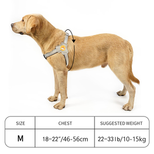 Arnés para Mascotas Transpirable de Nuevo Tipo, Arnés y Correa para Perro Telescópicos Reflectantes y Luminosos - Product Image 3