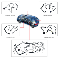 Arnés de Cableado Automotriz Personalizado OEM/ODM, Conjunto de Cables para Motor, Transmisión, Iluminación y Sistema de Frenos