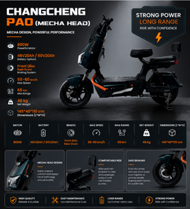 Potente Rendimiento, Gran Autonomía y Alta Velocidad, Apto para Todos los Terrenos, Perfecto para Viajes Diarios y Entrega de Mercancías. - Product Image 4