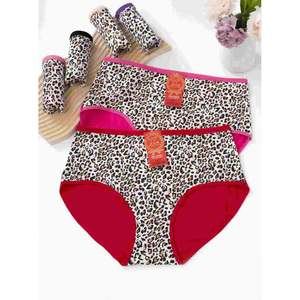 Tốt Nhất Bán Phụ Nữ Sexy Thoải Mái Thoáng Khí Quần Lót Liền Mạch Của Phụ Nữ Đồ Lót Với In Mô Hình Dệt Kim Mặc Bikini Dệt - Product Image 5