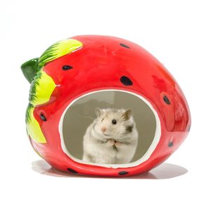 Maisonnette en céramique pour petits animaux, abri pour hamster, cabane pour chinchilla, cage pour animaux de compagnie, accessoire de cage mignon - Product Image 4