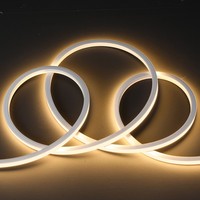 Bande LED néon 3D créative 12x12mm 120 LED/M IP67 Garantie 2 ans Lumière en corde de silicone pour façade architecturale CE ROHS