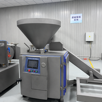 Máquina Embutidora de Salchichas de Gran Capacidad, Alta Velocidad, Grado 304, Certificación CE, Fiable, Tipo Paleta, Máquina de Llenado al Vacío