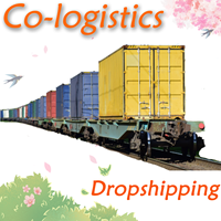 Co-logistique Expédition de conteneurs complets (FCL) Guangdong Belgique Conteneurs 20GP/40GP/40HQ Expédition en 15 jours Assurance Support 24/7
