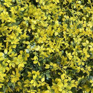 Murs grimpants artificiels en bois de boho, fausses plantes en escalade, mur de plantes à légumes - Product Image 3