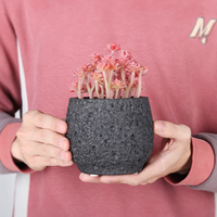 Personnalisé Vintage Coloré Grès Béton Ciment Planteur Fleur Succulente Cactus Pots avec Trou