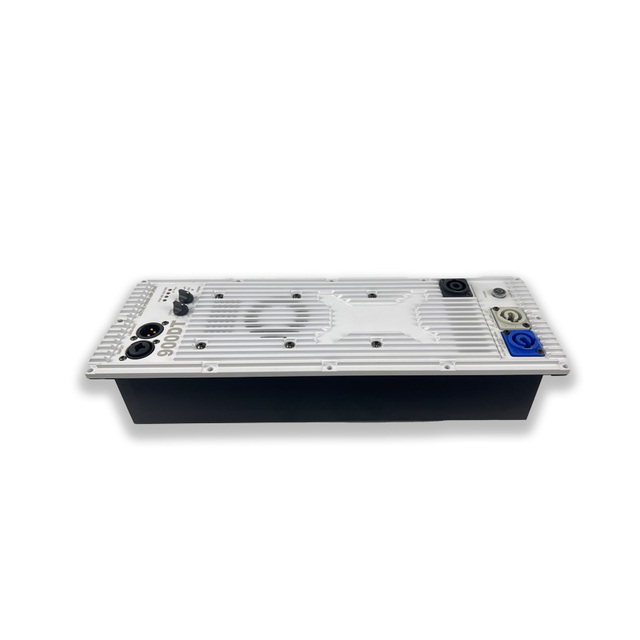 China Professional 900DT Class D Subwoofer Active Speaker Module Built-in Digital 600W 900W Amplifier Module