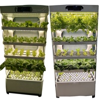 Petit jardin hydroponique LED pour la culture de légumes à domicile avec solution nutritive