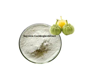 Venta caliente pérdida de peso píldoras delgadas Garcinia Cambogia perder dieta tabletas quemador pérdida de peso rápida quema de grasa cápsulas adelgazantes