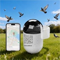 Localizador BT Mini Impermeable IP67 de 2.2g, Dispositivo Antipérdida para Mascotas, Aves y Loros