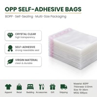 Großhandel Antistatische OPP Selbstklebende Verpackungsbeutel BOPP Transparente Polybeutel für Geldbörsen Bettwäsche Kleidung Verschiedene Größen Fabrik