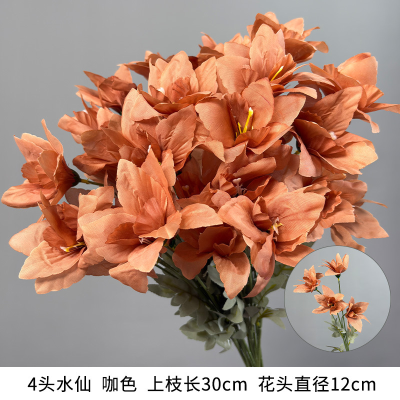 4 fleurs de narcisse