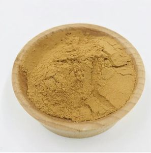Pemasok Pabrik Bubuk Mai Dong Suplemen Herbal Ekstrak Akar <span class=keywords><strong>Ophiopogon</strong></span> Japonicus - Product Image 2