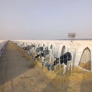 Casa de panturrilha de qualidade alimentar aberta sem cerca ventilação lateral gaiolas para animais vaca