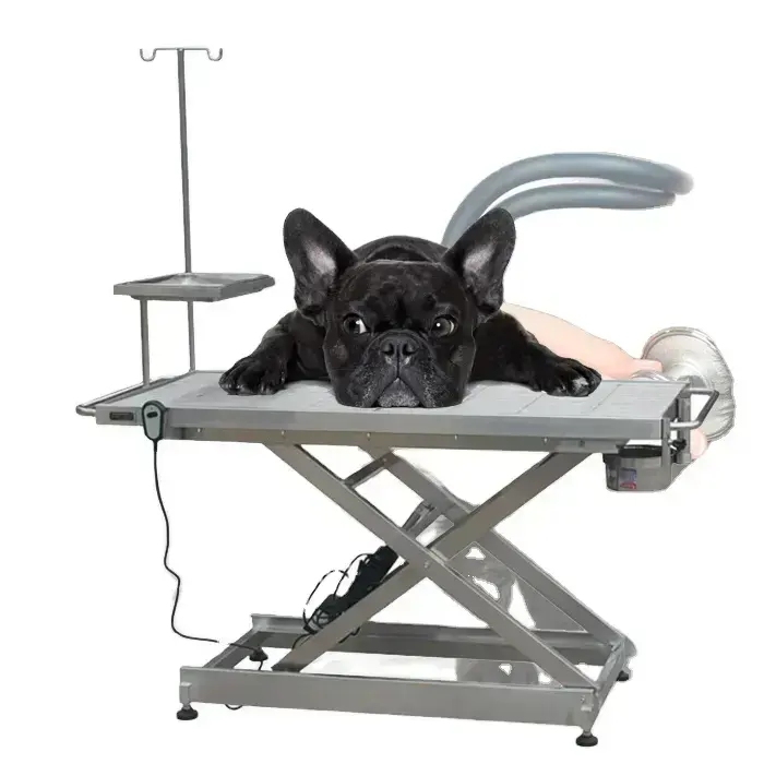 Köpekler veteriner muayene masası klinik masası için hastane muayene masası