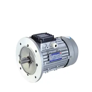 Serie MS 380V Alambre de aluminio/cobre 1.0HP 2Poel Motor eléctrico asíncrono trifásico de 2 polos a la venta