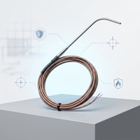 Capteur de température PT100 RTD blindé flexible PROG SR105-1 pour moules à haute température et cavités étroites, mesure industrielle, précision 0,1 %