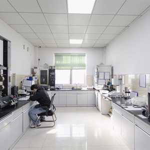 PPS Reforzado con 50% de Fibra de Vidrio, Baja Deformación, Alto Flujo, Alta Rigidez, Resistente al Calor, para Piezas de Válvulas Automotrices, Gránulos PPS GF50 - Product Image 5