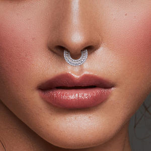 Nouveau G23 titane oreille nez PIERC Cartilage boucle d'oreille <span class=keywords><strong>Piercing</strong></span> CZ pavé côté anneaux Segment cerceaux Clicke <span class=keywords><strong>Tragus</strong></span> anneau bijoux à la mode - Product Image 4