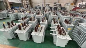 Trasformatore Toroidale Trifase <span class=keywords><strong>Serie</strong></span> H59 H61 1200 kW 11 kV 33 kV 30 kVA 100 kVA 160 kVA 750 kVA 1600 kVA Trasformatore a Immersione in Olio - Product Image 2