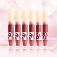 Gloss à lèvres velours aérien de marque propre, sans transfert, hydratant, sans logo, fini mat, rouge à lèvres liquide longue tenue