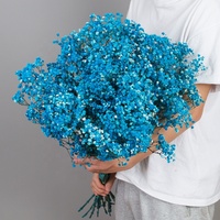 Fleurs séchées préservées Gypsophila Paniculata Baby Breath pour la décoration de mariage 120g