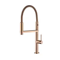 Robinet de cuisine contemporain Spring pour évier à légumes, doré, télescopique, monotrou, eau chaude et froide, en acier inoxydable brossé