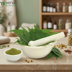 Fabricant d'extrait de neem, poudre d'extrait de feuilles de neem pure, fournisseur en gros - Product Image 1