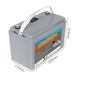 1 a 3KWh 12.8V 12V 24v 48v 100Ah 200Ah 300Ah batteria al litio Lifepo4 per RV barca casa sistema solare