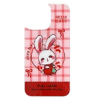 Coque de téléphone à panneau arrière magnétique remplaçable pour Iphone17/17pro/17promax/17air avec le lapin porte-bonheur coloré doré