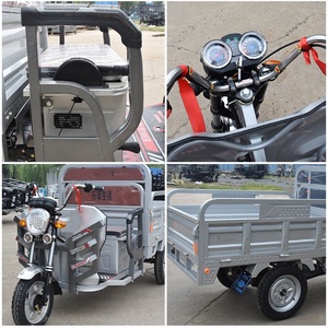 Tricycle électrique 60v Cargo 1000W véhicule de tourisme motorisé certificat CEE utilisation adulte corps en plastique 400kg charge utile fermée - Product Image 5