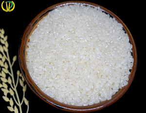 Type d'agriculture dure, riz à sushi de nouvelle qualité Japonica vietnamien, riz blanc du Vietnam, vente en gros - Product Image 6